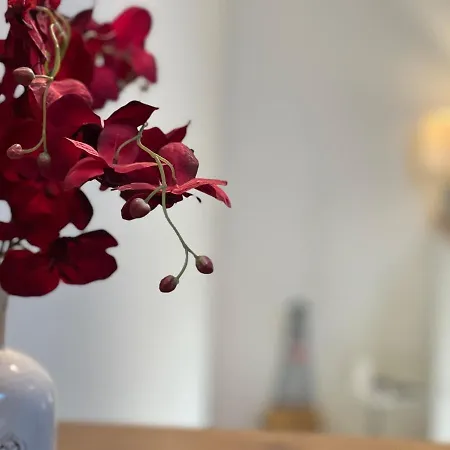 Am Apfelbaum - Romantische Remise Direkt Am Golfplatz Und Der Schlei