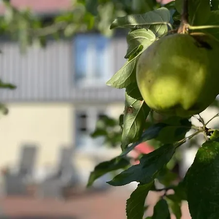 Am Apfelbaum - Romantische Remise Direkt Am Golfplatz Und Der Schlei