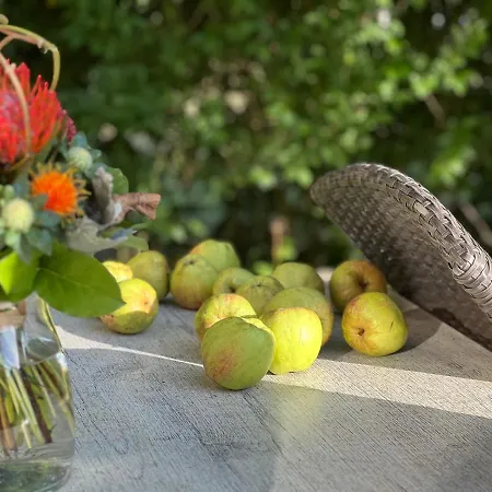 아파트 Am Apfelbaum - Romantische Remise Direkt Am Golfplatz Und Der Schlei