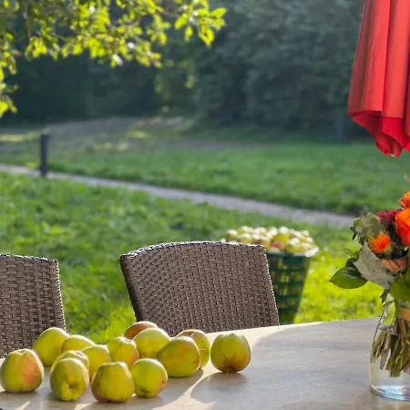Am Apfelbaum - Romantische Remise Direkt Am Golfplatz Und Der Schlei
